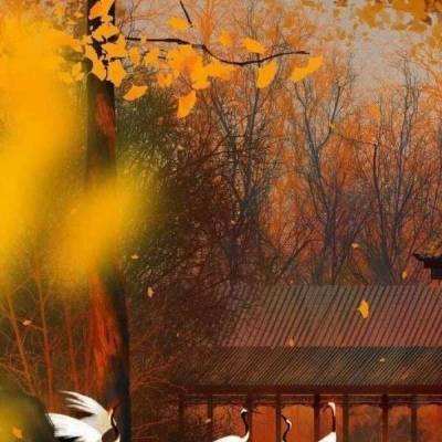 北京：“五一”假期首日全市公园迎客126万